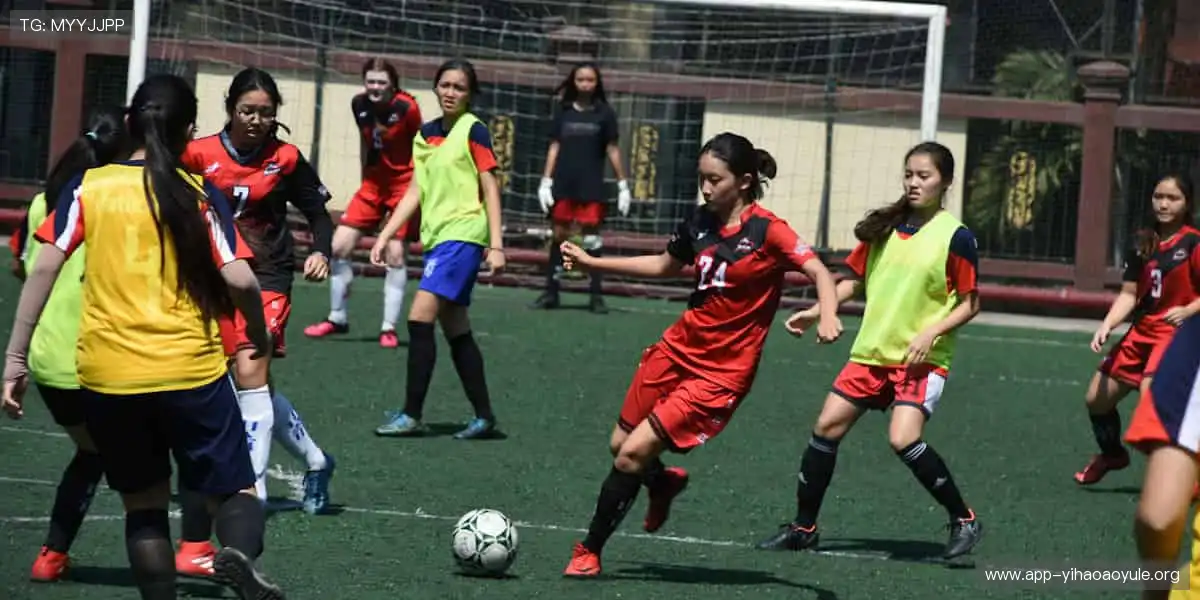 专业网络游戏中心：智能匹配公平对局，新手大神都能尽兴